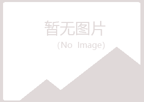 兰山区沉沦银行有限公司